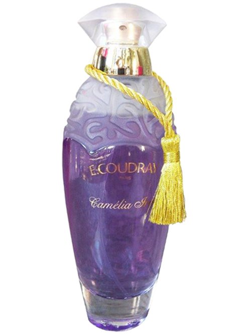 Camélia Iris by E.Coudray