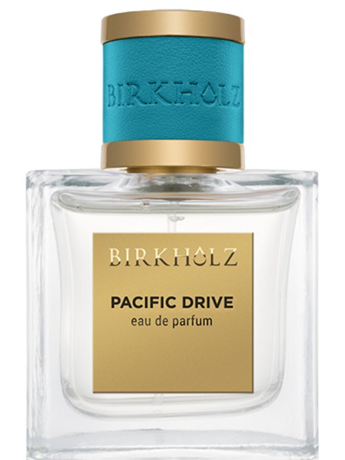 Pacific Drive by Birkholz