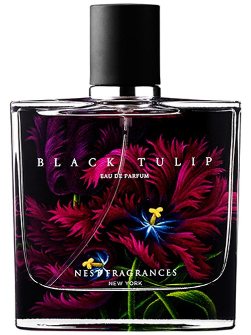 Black Tulip by Nest
