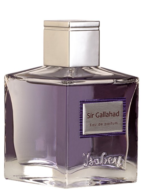 Sir Gallahad by Isabey