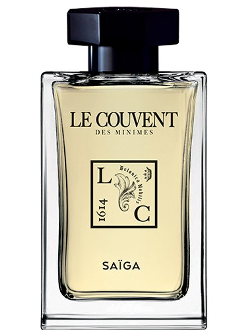 Saïga by Le Couvent