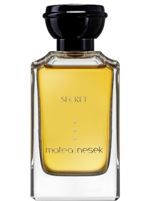 Secret by Matea Nesek