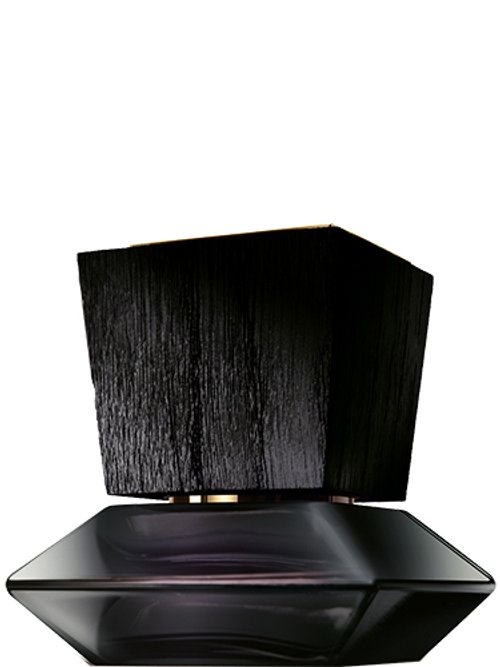 Mahonia by Adolfo Dominguez