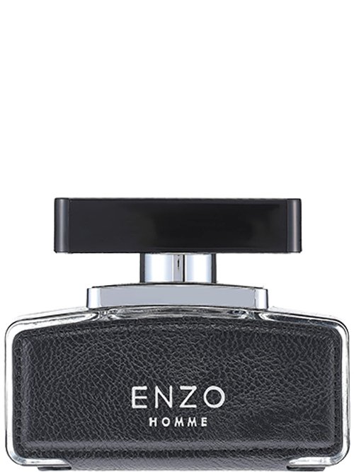 Enzo Homme by Flavia