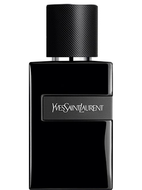 Y Le Parfum by Yves Saint Laurent