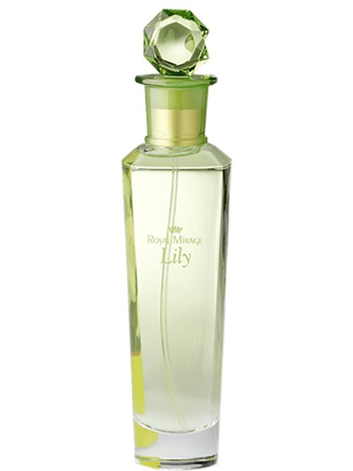 Lily by Royal Mirage