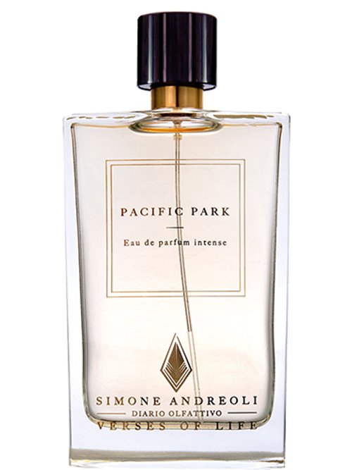 Pacific Park by Simone Andreoli