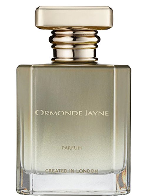 Fearless by Ormonde Jayne