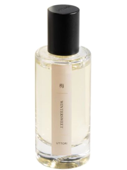 Wintersweet by Uttori