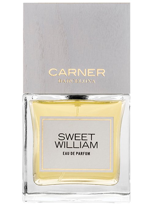 Sweet William by Carner Barcelona