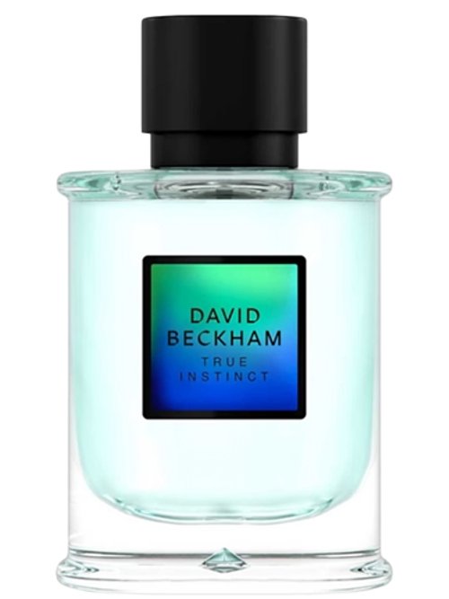 David Beckham True Instinct by David Beckham