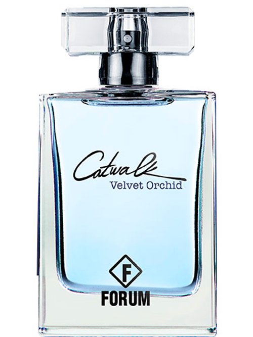 Catwalk Velvet Orchid by Forum