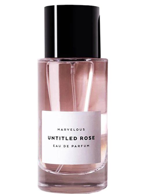 Untitled Rose by Bmrvls