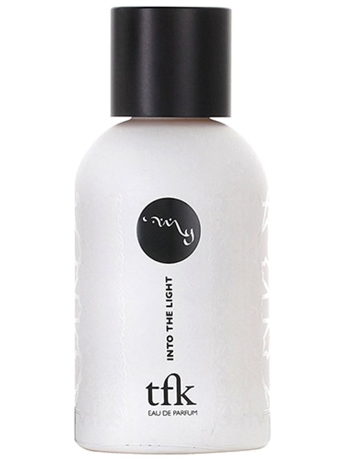 Into The Light by Tfk