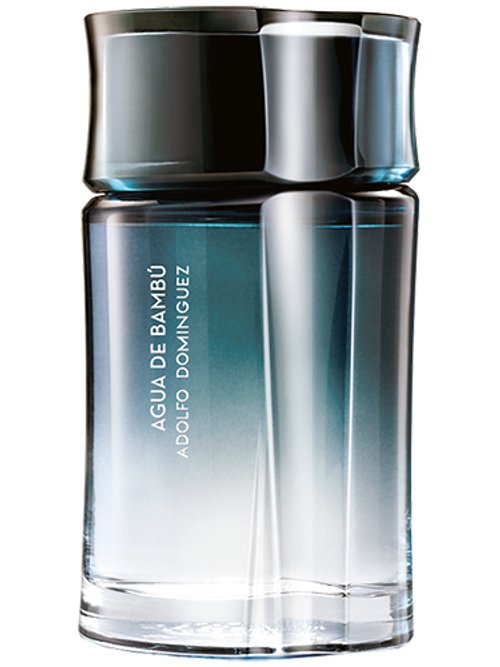 Agua De Bambú Hombre by Adolfo Dominguez