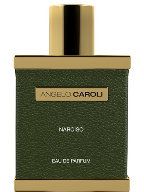 Narciso by Angelo Caroli