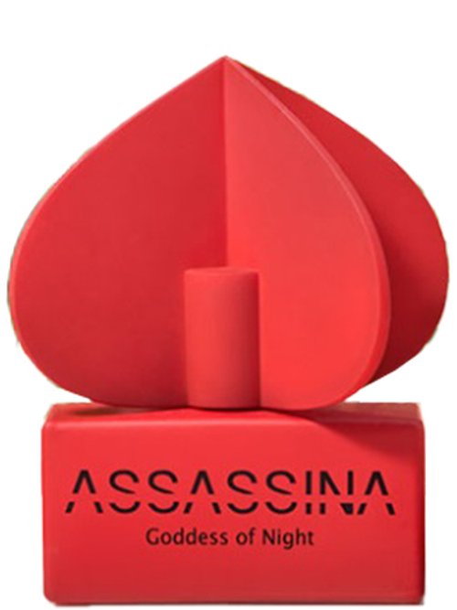 Goddess Of Night by Assassina