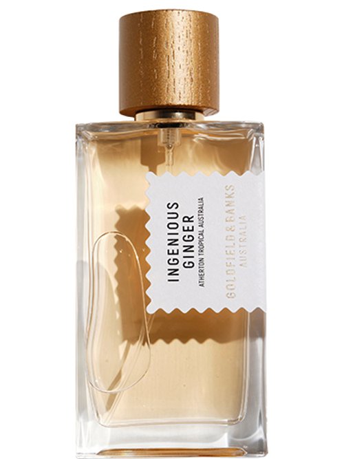 Ingenious Ginger by Goldfield & Banks