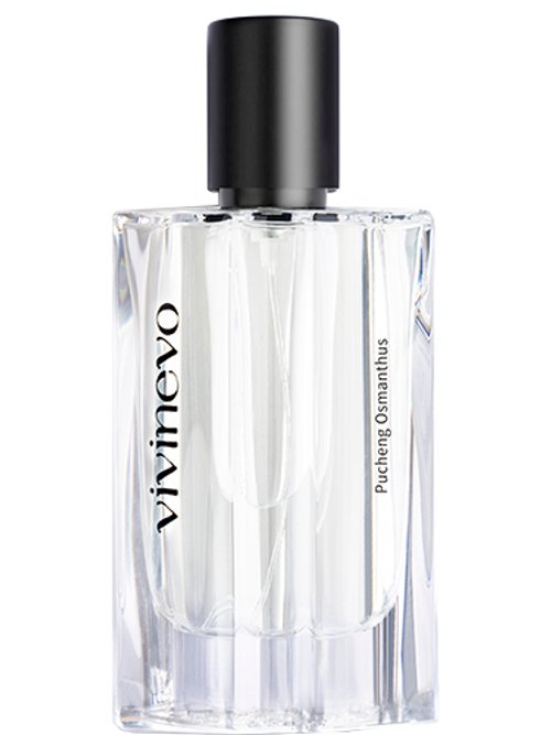 Pucheng Osmanthus by Vivinevo