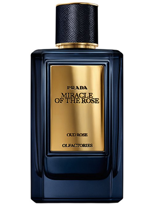 Miracle Of The Rose by Prada
