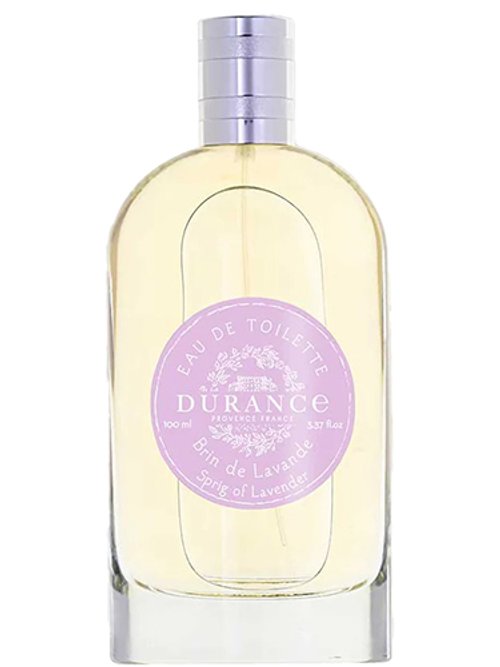 Brin De Lavande / Sprig Of Lavender by Durance