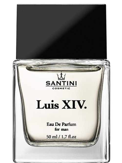Luis Xiv. by Santini