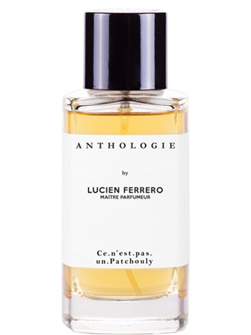 Ce N'Est Pas Un Patchouly by Lucien Ferrero