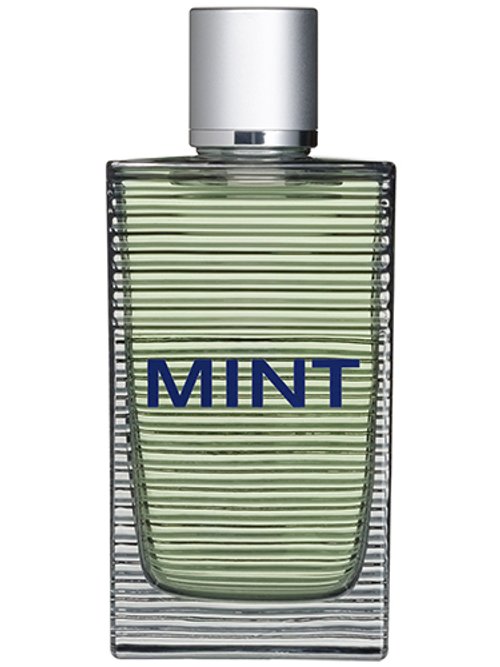 Mint Man by Toni Gard
