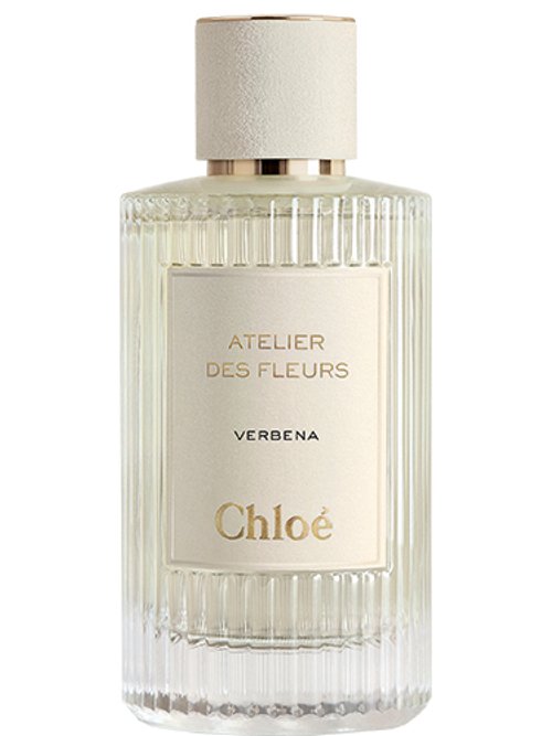 Verbena by Chloé