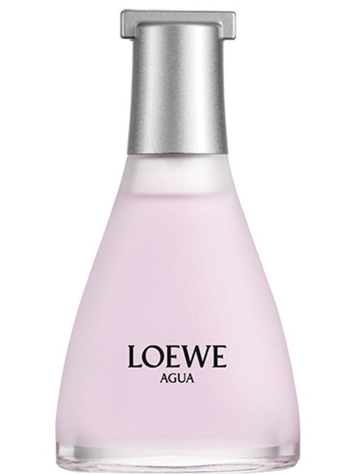 Agua De Loewe Ella Classic by Loewe