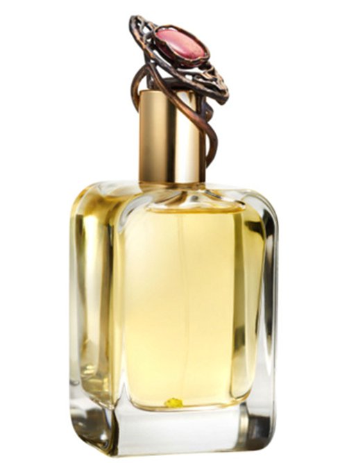 Amygdala by Mendittorosa