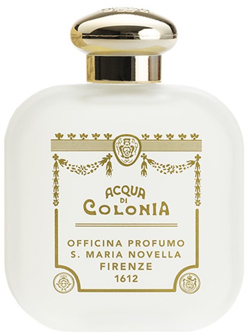 Verbena by Santa Maria Novella