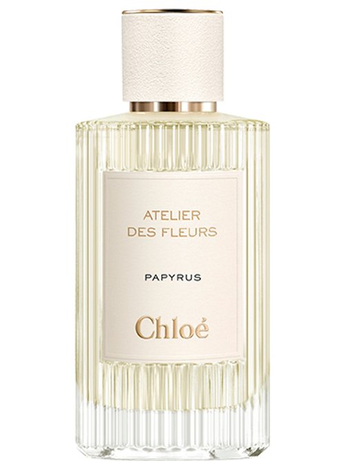 Papyrus by Chloé