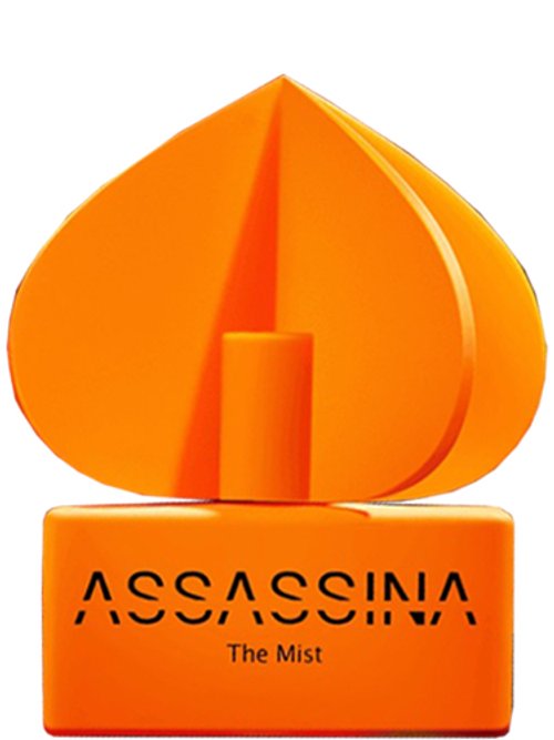 The Mist by Assassina