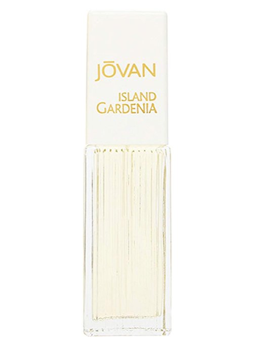 Jovan Island Gardenia by Jovan