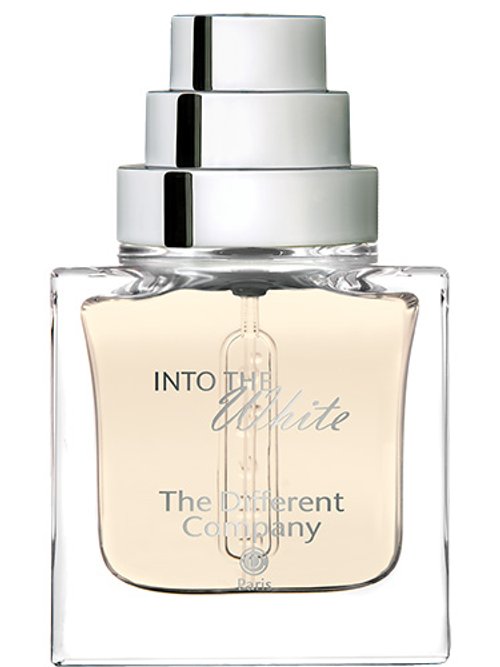 Into The White by The Different Company