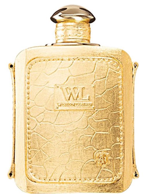 Western Leather Gold Skin by Alexandre.J