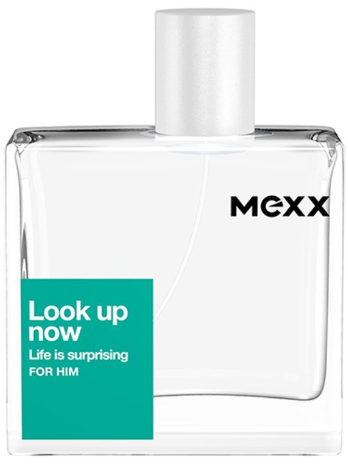 Look Up Now For Him by Mexx