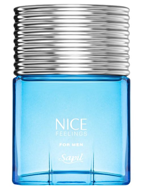 Nice Feelings by Sapil