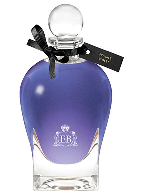 Fragile Violet by Eric Buterbaugh