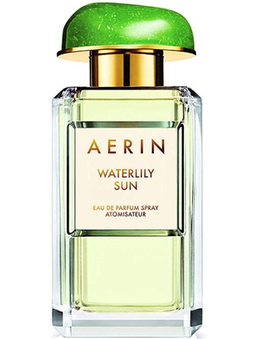 Waterlily Sun by Aerin
