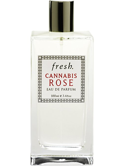 Cannabis Rose by Fresh