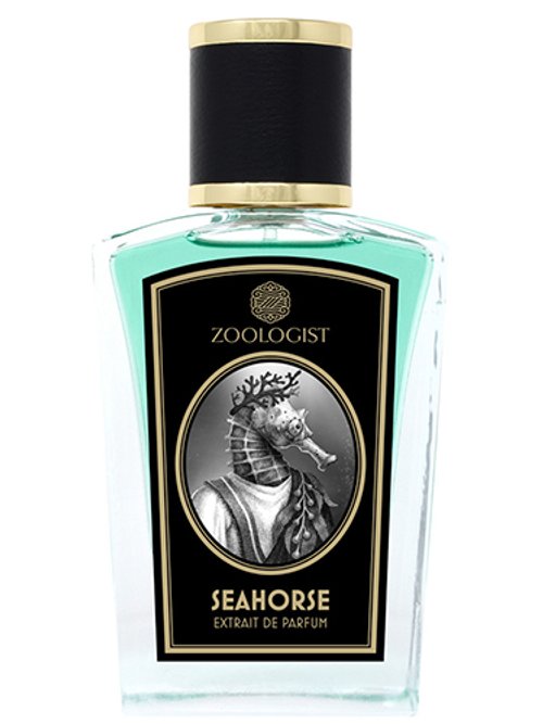 Seahorse by Zoologist