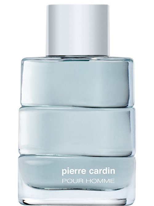 Pierre Cardin Pour Homme by Pierre Cardin