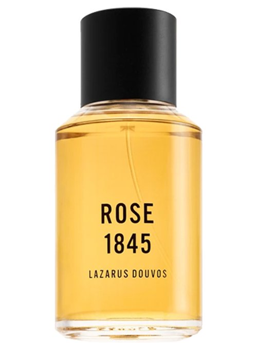 Rose 1845 by Lazarus Douvos