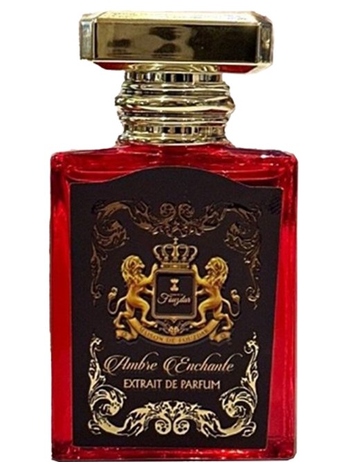 Ambre Enchante by Maison De Fouzdar