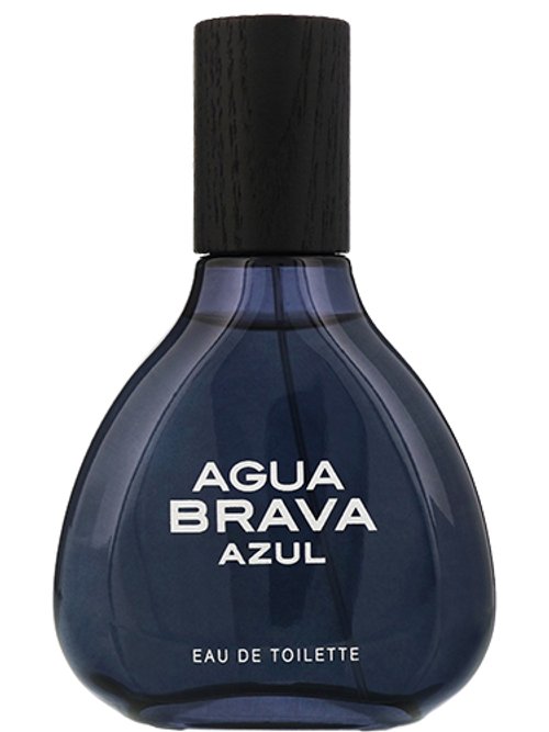 Agua Brava Azul by Puig