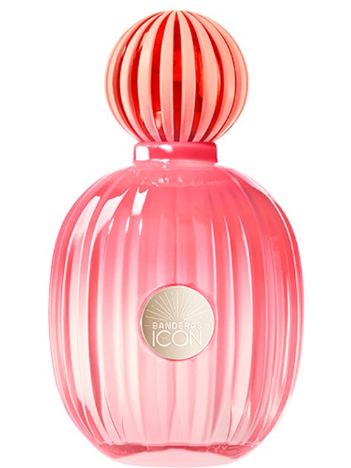 The Icon Splendid by Banderas