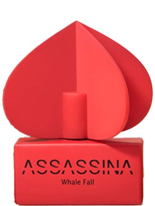 Whale Fall by Assassina