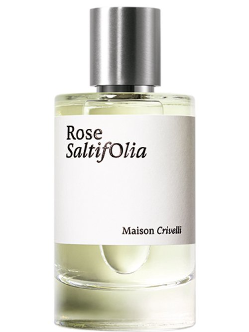 Rose Saltifolia by Maison Crivelli